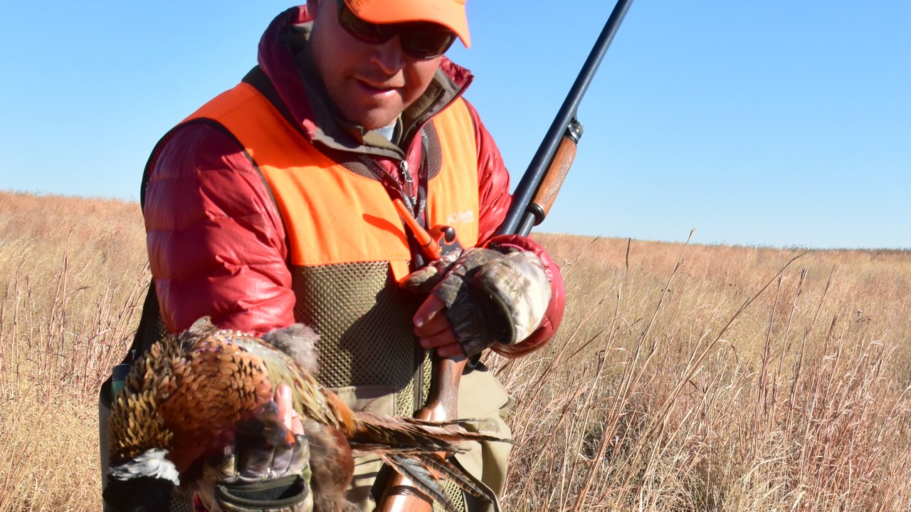 Hunter in blaze orange holds a rooster pheasant and a shotgun in tall dry grass under a clear sky at LaCreek National Wildlife Refuge, South Dakota.