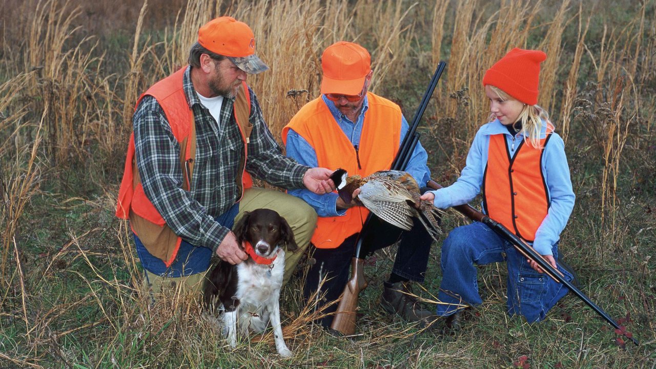 Two men in blaze orange and a young girl in an orange stocking cap kneel in tall prairie grass with a brown-and-white bird dog, admiring a rooster pheasant.