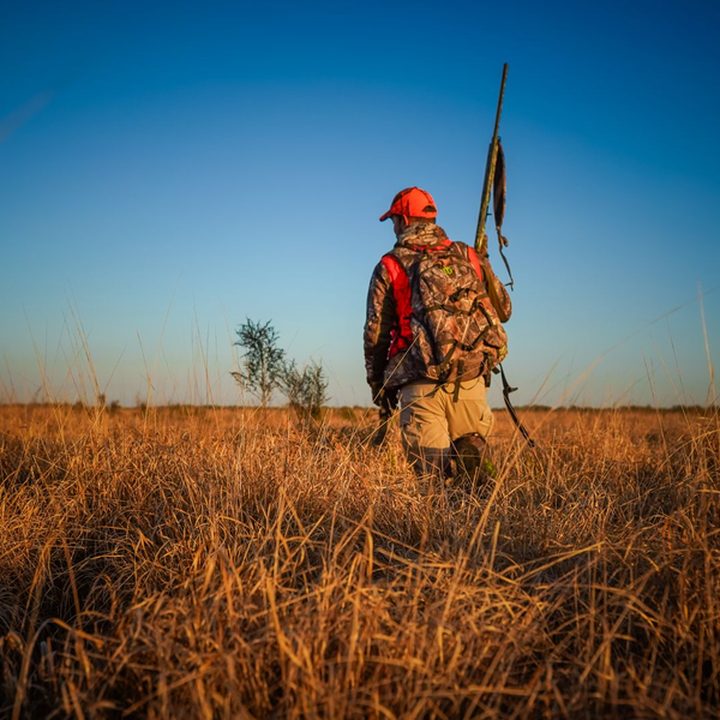 Hunter in blaze orange vest carrying a shotgun through tall grass, the mark for gear.